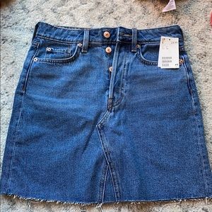 H&M Jean Skirt